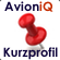 Kurzprofil AvioniQ Interim Management